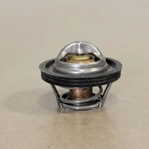 Stalen Schroef Thermostat 4029255