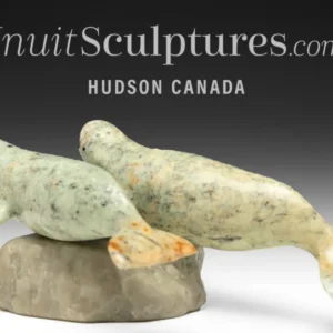 9" Beluga Whales Peter K. *Pod Pals* Heavy Duty Constructie