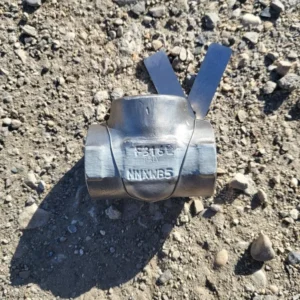 1/2" Class 800 Swing Check Valve B16.34