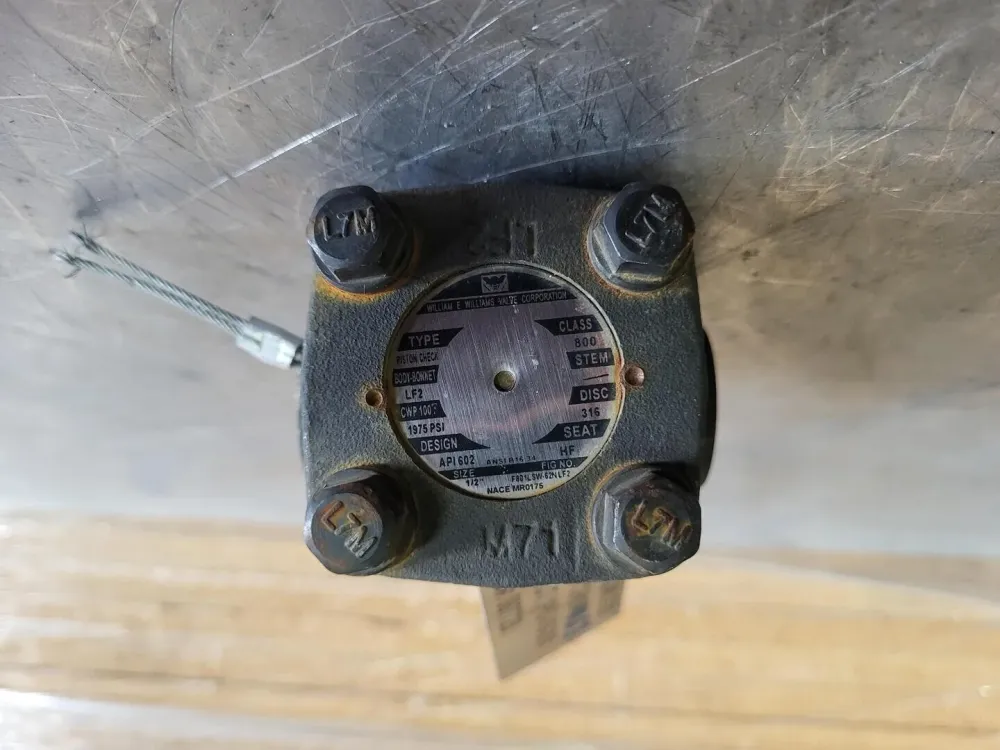 OEM Kwaliteit 1/2" Class 800 Piston Check Valve B16.34