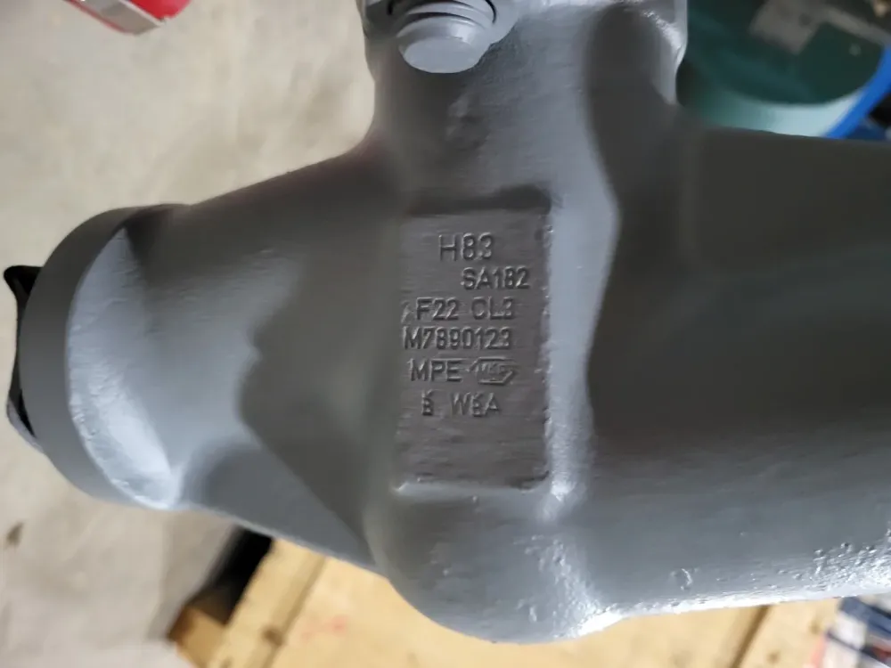 Globe Valve B16.34 w/ Actuator SAEXC 14.1-F14 D-79379