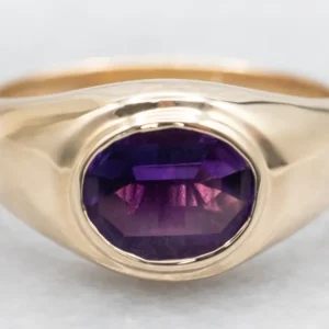 EMV-beschermende Men's East-West Set Amethyst Solitaire Ring
