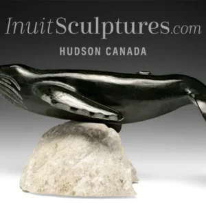13” Blue Whale Dale Ford *Colossus*