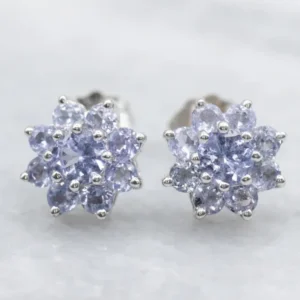 Floral Tanzanite Gouden Stud Earrings met CE-Keurmerk
