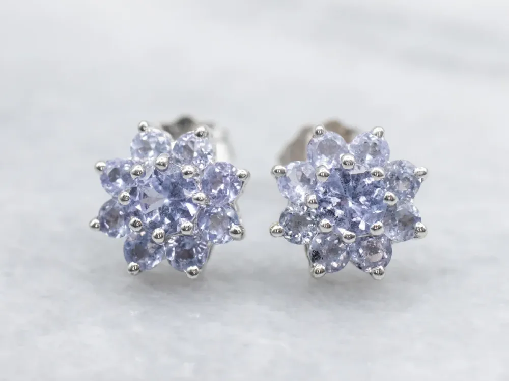Floral Tanzanite Gouden Stud Earrings met CE-Keurmerk