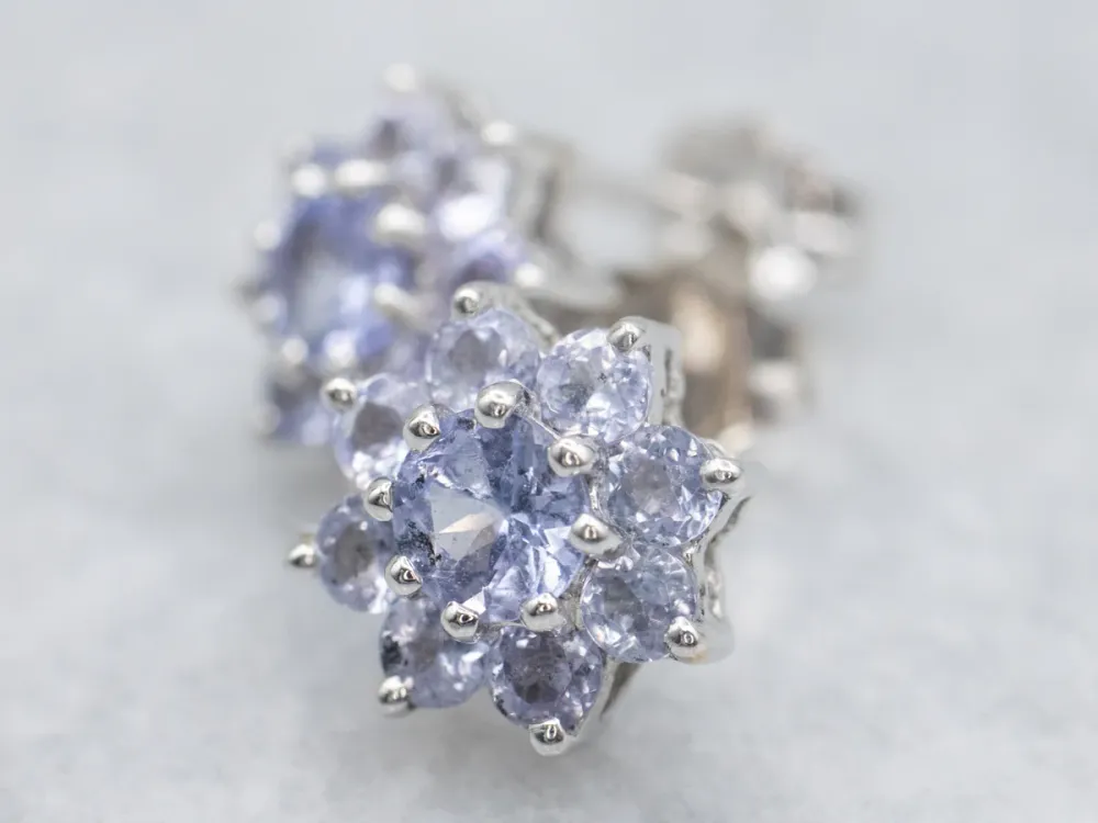 Floral Tanzanite Gouden Stud Earrings met CE-Keurmerk