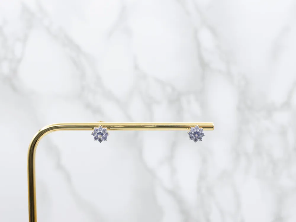 Floral Tanzanite Gouden Stud Earrings met CE-Keurmerk