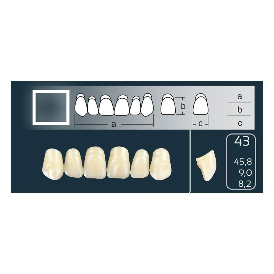 Gegalvaniseerd Anterior square Linked Cross Linked teeth - shape 43 - Choice.