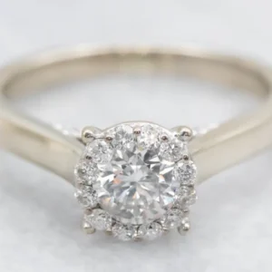Gegalvaniseerd Stunning Round Brilliant Diamond Halo Engagement Ring