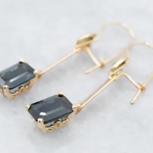 Industrieel Zwaar Belast Botanical Zeeblauw Sapphire Drop Earrings