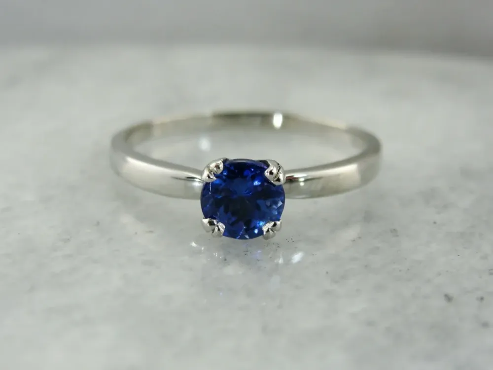 Roestvrij Staal Sapphire Solitaire Platinum Engagement Ring