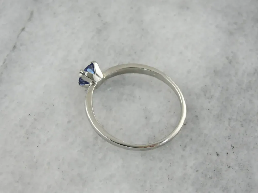 Roestvrij Staal Sapphire Solitaire Platinum Engagement Ring