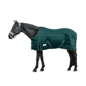 Stable Rug Economic 300 g Fir Green 125