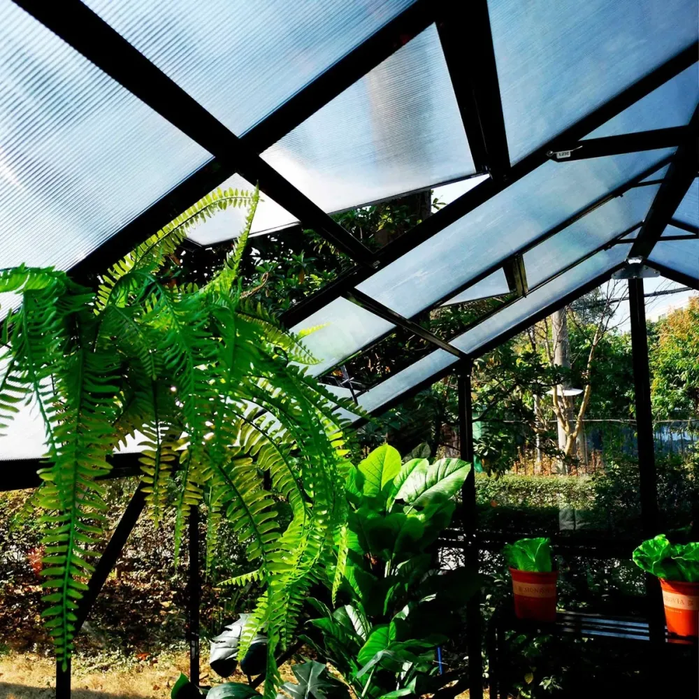 Metalcraft Greenhouse, 14,4 m², 4mm safety glaswerk, black Roestvrij Staal Gaas