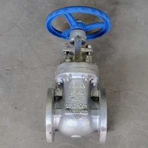 3" Class 150 Gate Valve F10-064C-02TY-W320