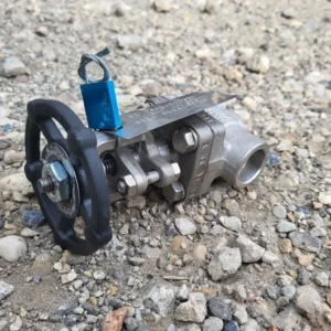 3/4" Class 800 Gate Valve API 624