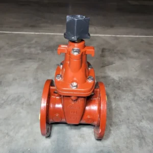 4" Gate Valve W10--NL-FF-B-2N, 300PSI AWWA