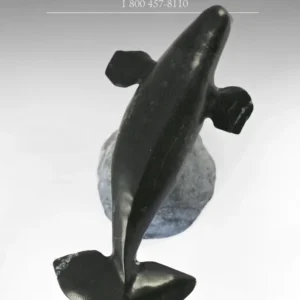 10" Beluga Whale Louie Uttaq Gjoa Haven *Splendor* voor Magazijnstellingen
