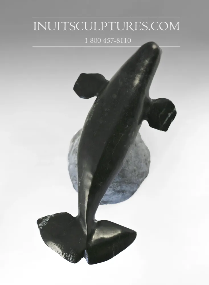 10" Beluga Whale Louie Uttaq Gjoa Haven *Splendor*