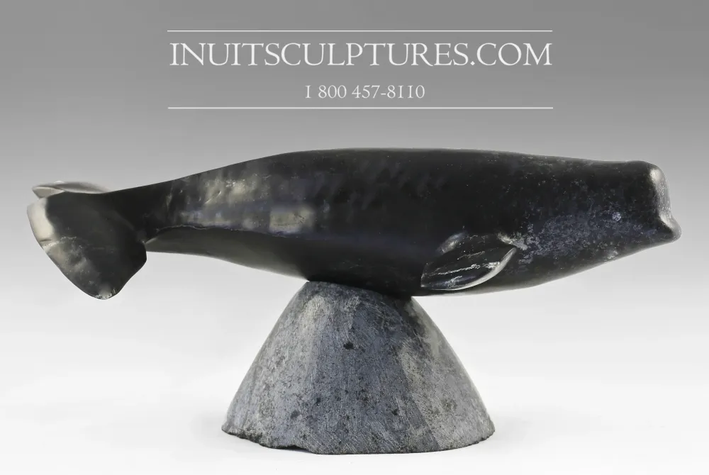 10" Beluga Whale Louie Uttaq Gjoa Haven *Splendor*