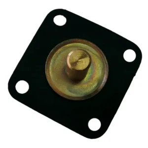 ACCELERATIEPOMP MEMBRAAM