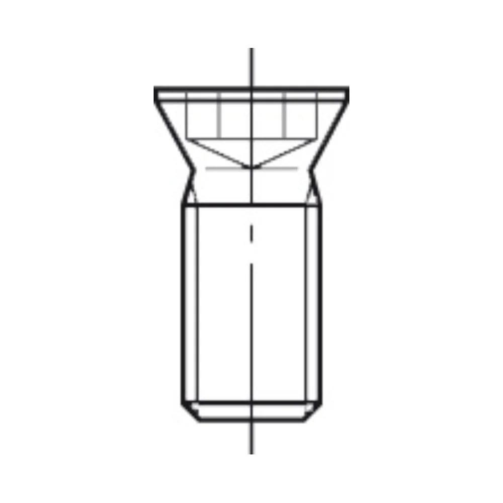 TORX-BOUT M2,5 X 5,5 TYPE G AKE