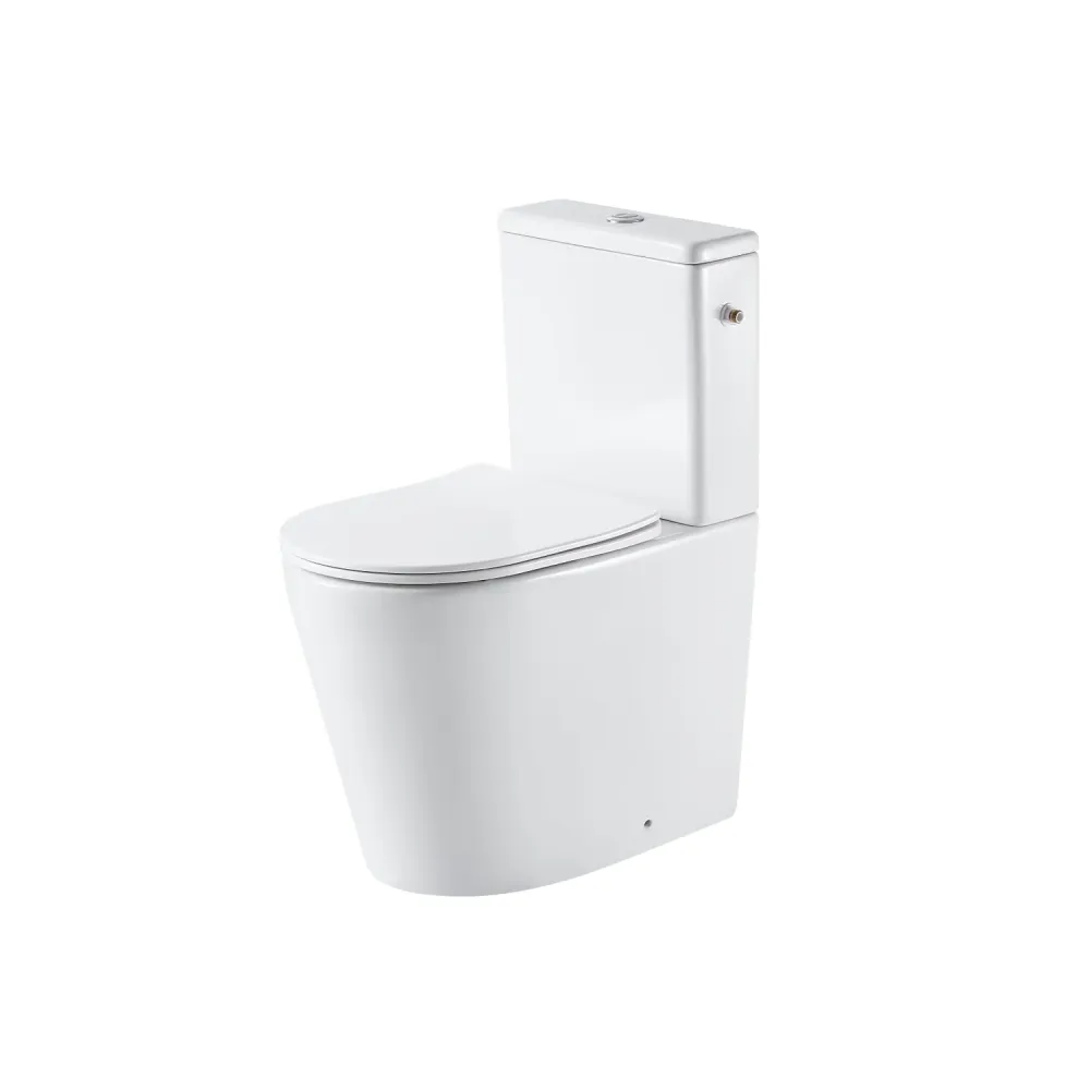Aquavive Duoblok toilet Esino met randloze toiletpot - wit