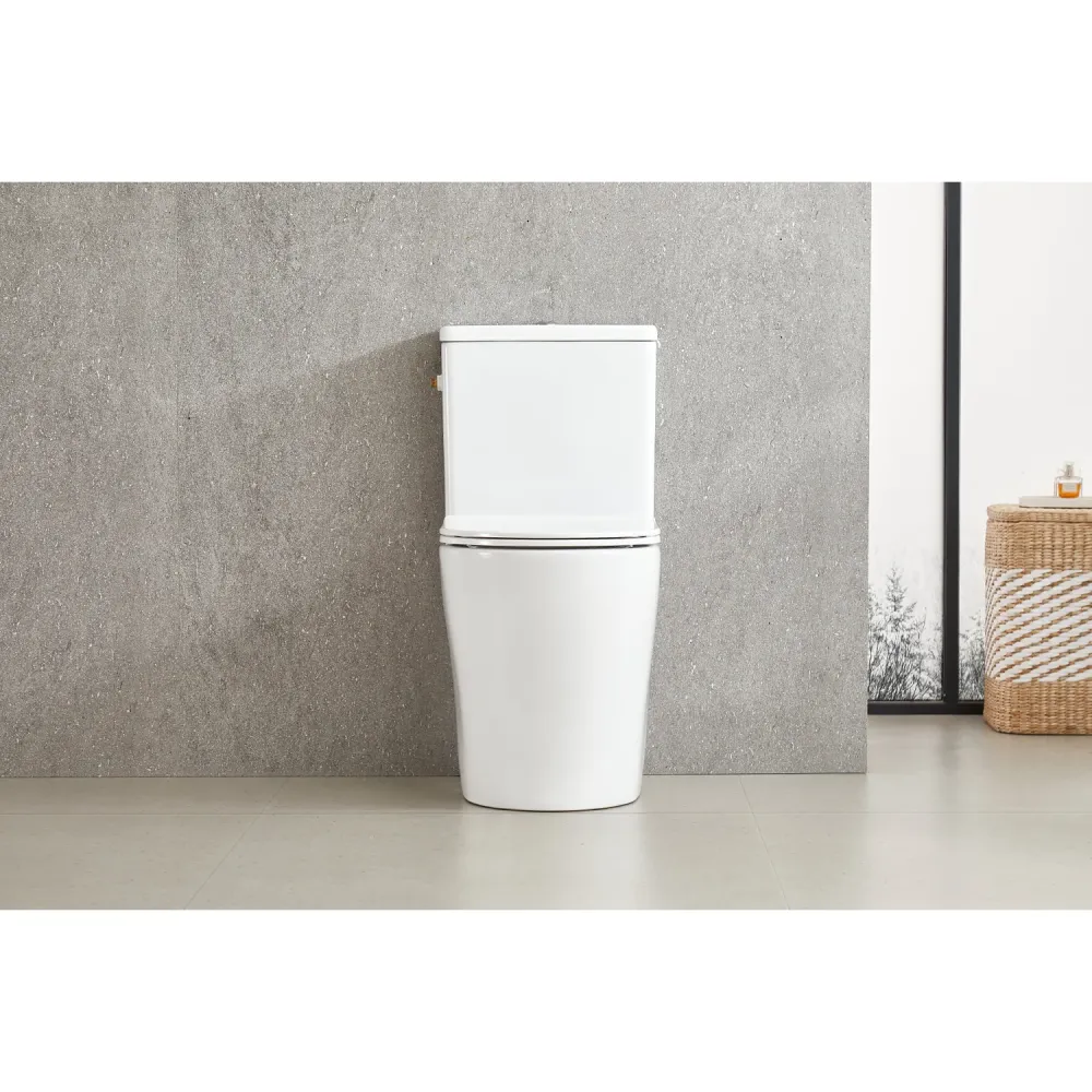 Aquavive Duoblok toilet Esino met randloze toiletpot - wit