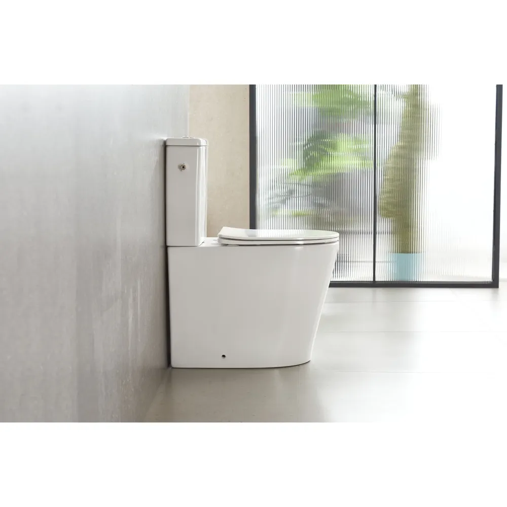 Aquavive Duoblok toilet Esino met randloze toiletpot - wit