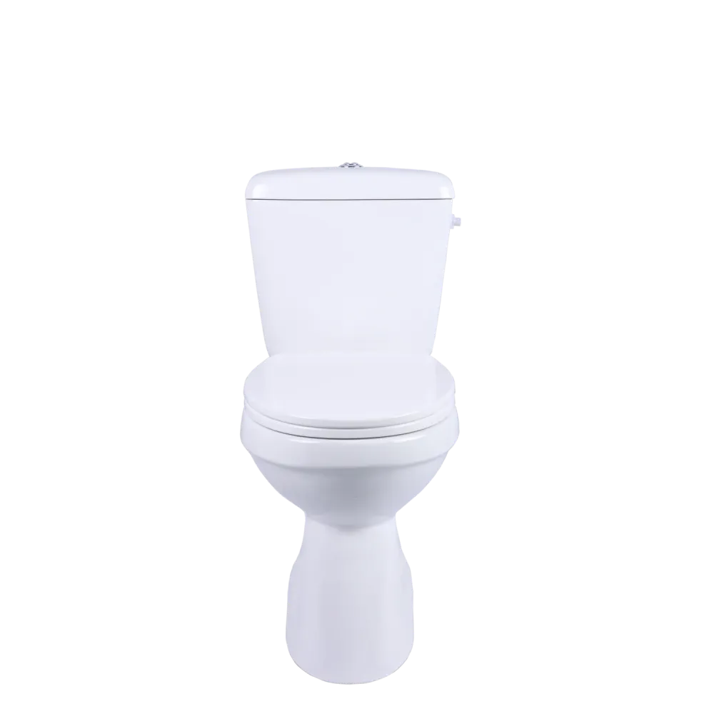 AquaVive duoblok toilet Ippari I AO aansluiting I Soft-close toiletzitting wit