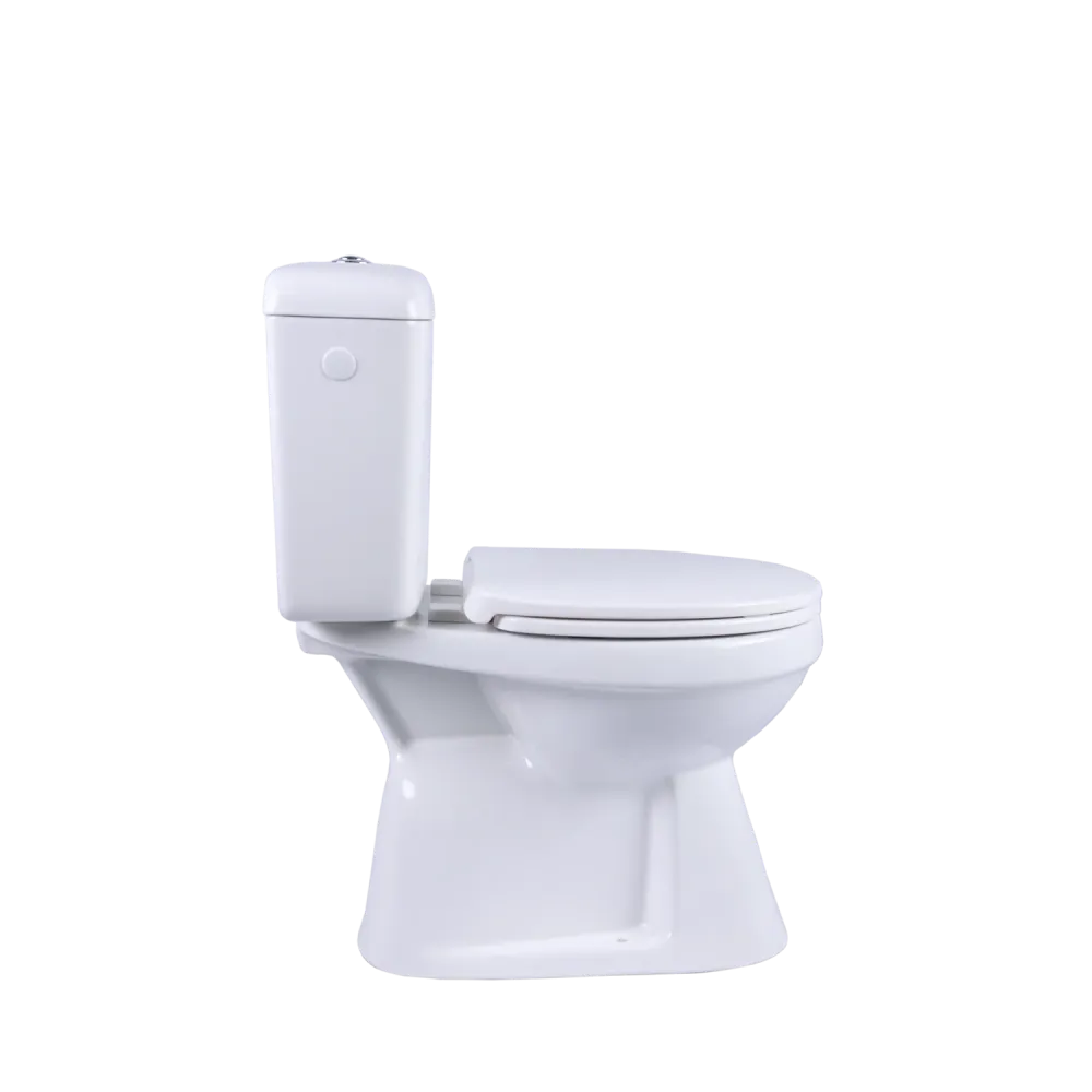 AquaVive duoblok toilet Ippari I AO aansluiting I Soft-close toiletzitting wit