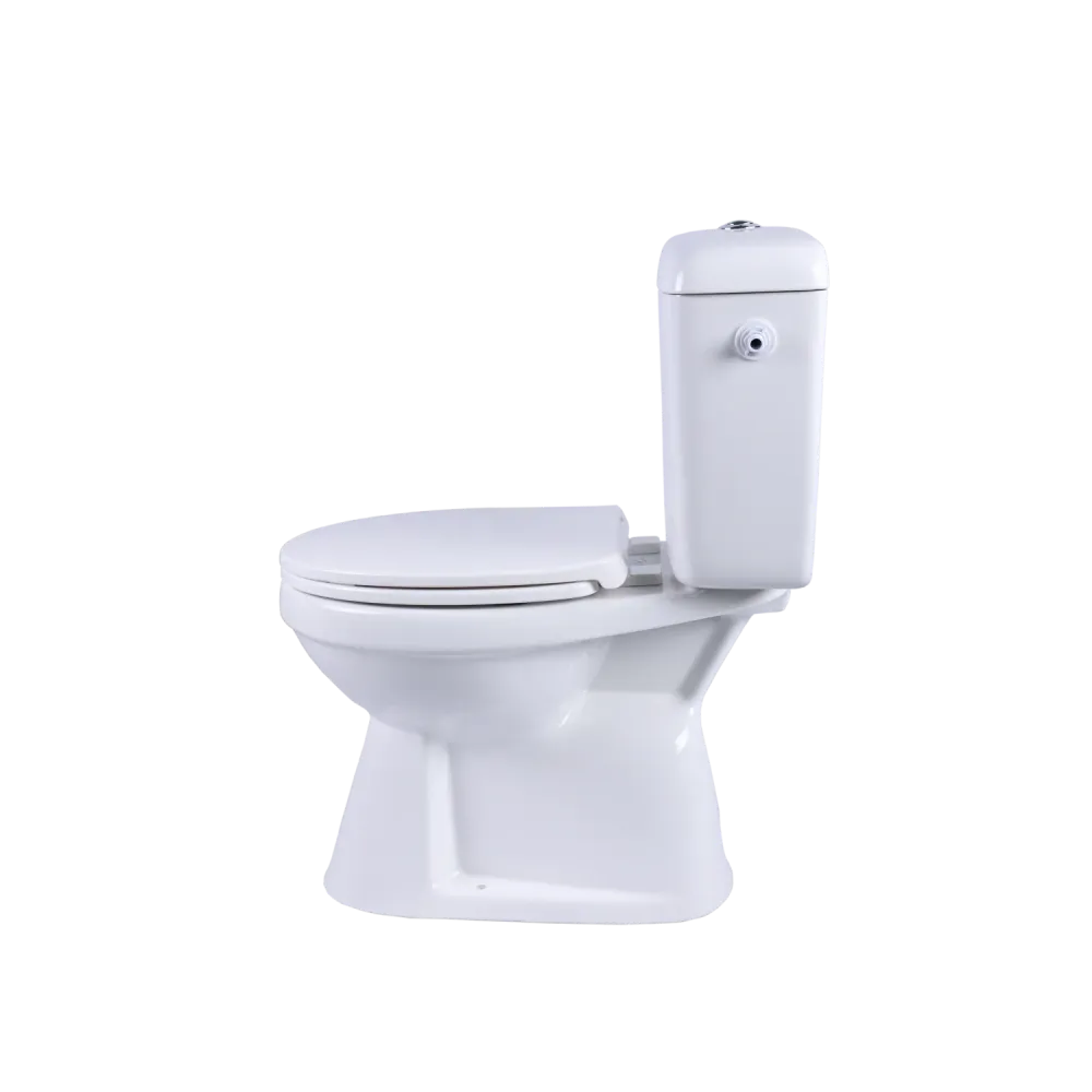 AquaVive duoblok toilet Ippari I AO aansluiting I Soft-close toiletzitting wit