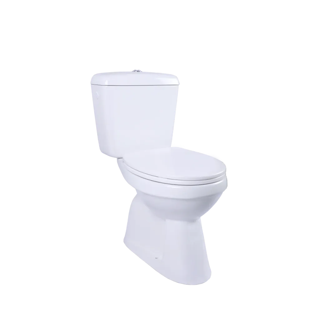 AquaVive duoblok toilet Ippari I AO aansluiting I Soft-close toiletzitting wit