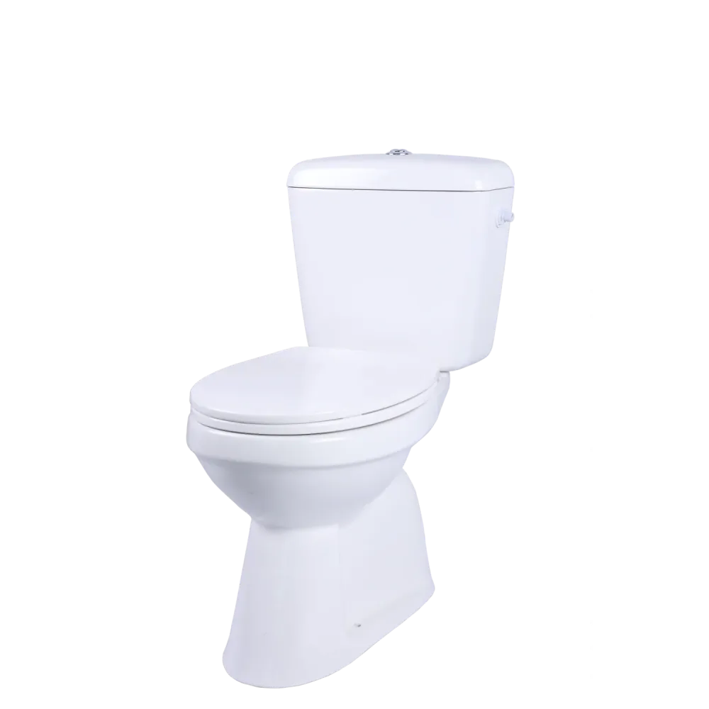 AquaVive duoblok toilet Ippari I AO aansluiting I Soft-close toiletzitting wit