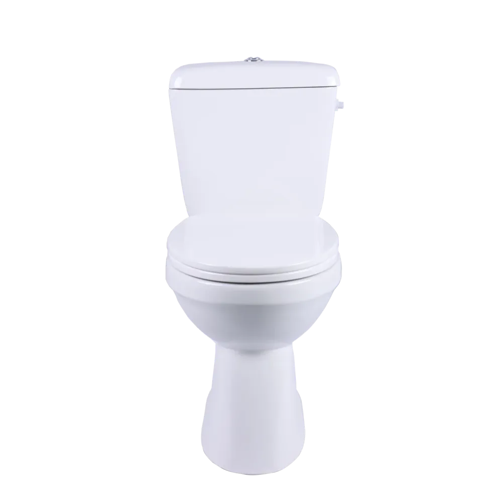 Aquavive Ippari Duoblok toilet met softclose toiletzitting - PK - wit