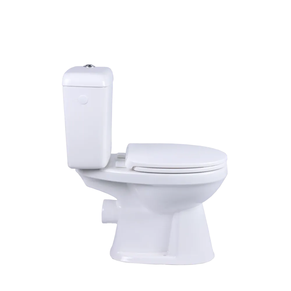 Aquavive Ippari Duoblok toilet met softclose toiletzitting - PK - wit