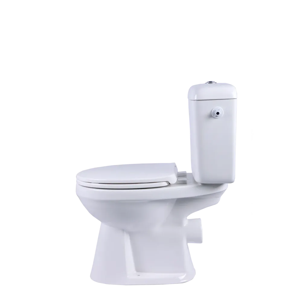 Aquavive Ippari Duoblok toilet met softclose toiletzitting - PK - wit