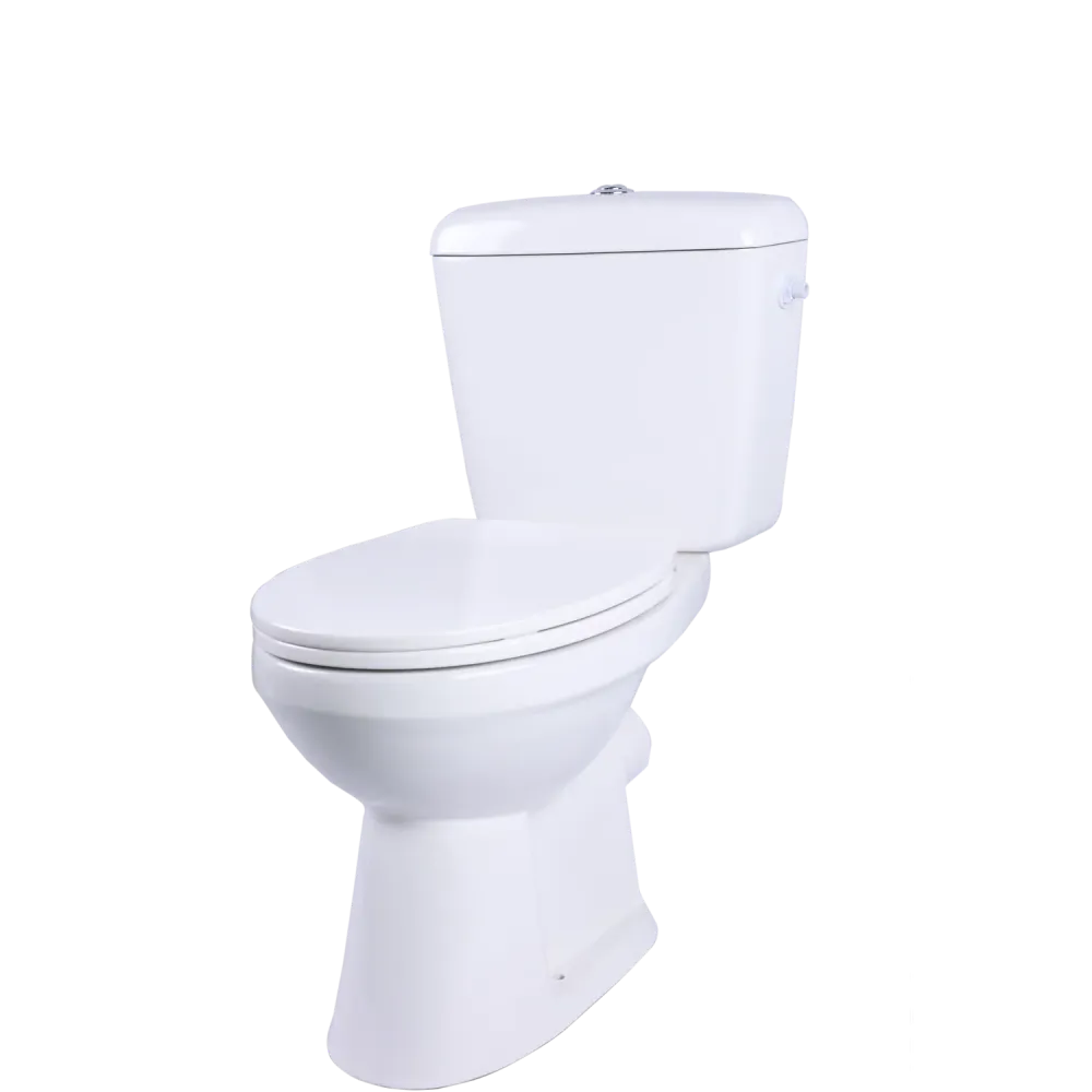 Aquavive Ippari Duoblok toilet met softclose toiletzitting - PK - wit