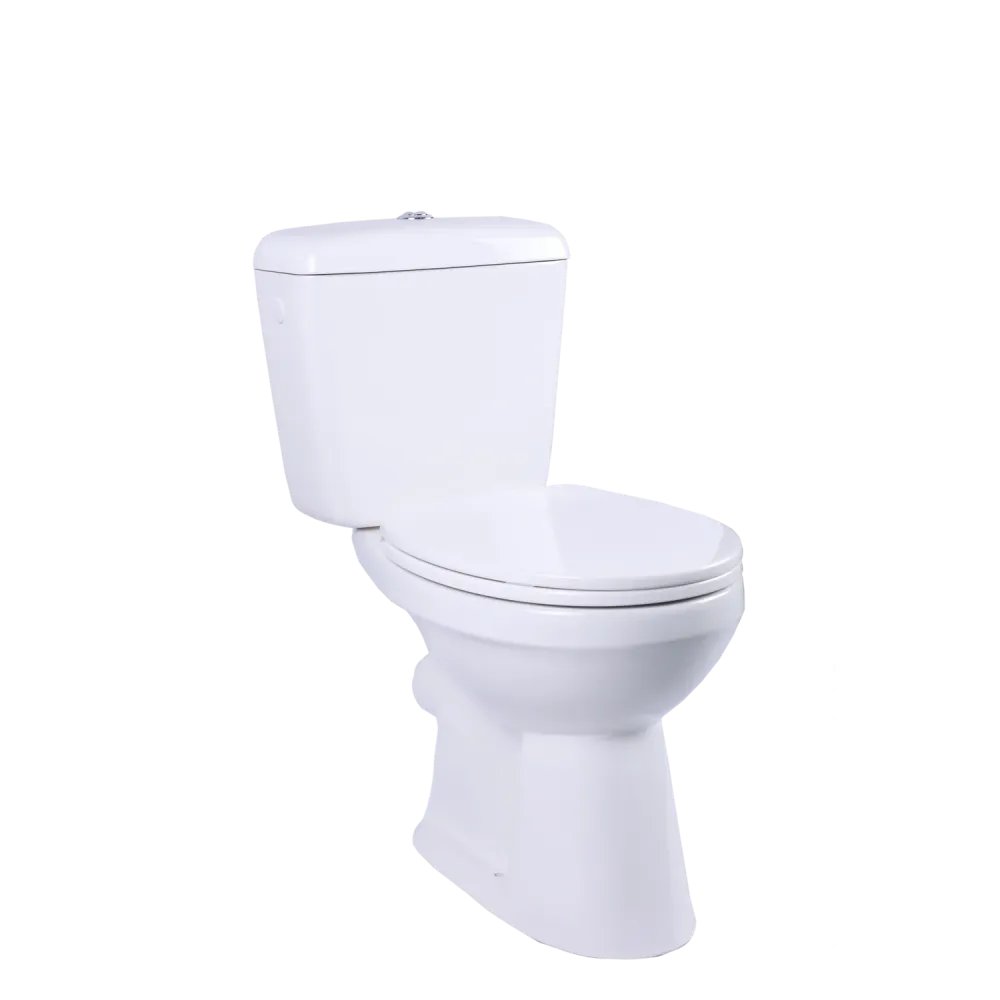 Aquavive Ippari Duoblok toilet met softclose toiletzitting - PK - wit