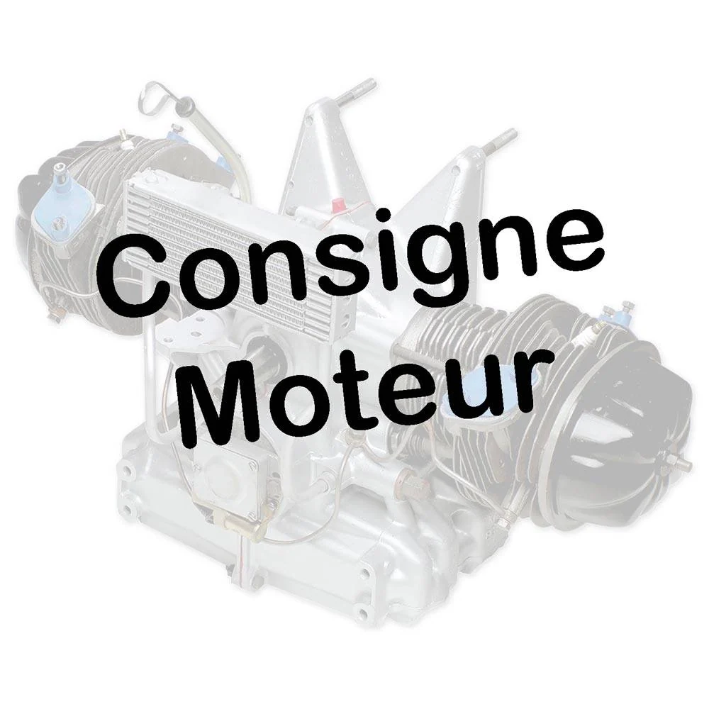 BORG MOTOR 602CC