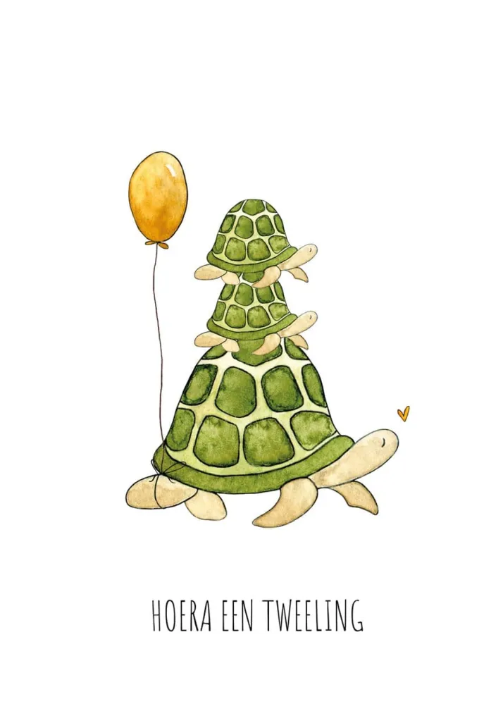 Kaart hoera een tweeling Juulz Illustrations & Design