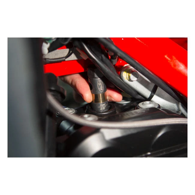 Motion Pro Plug bougiedop
