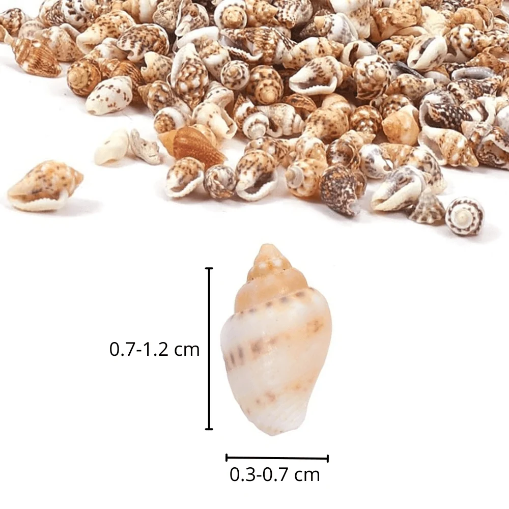 Pot Schelpjes - Schelpkralen (1500st.)