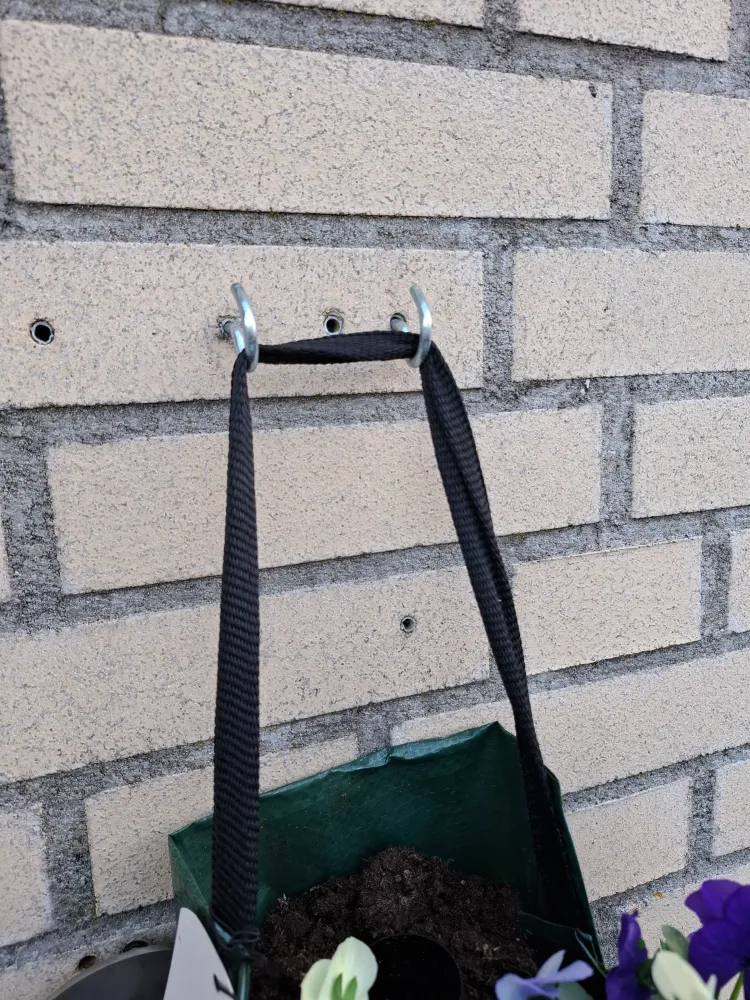 Wandhanger ooghaak incl plug Wandhangers.nl