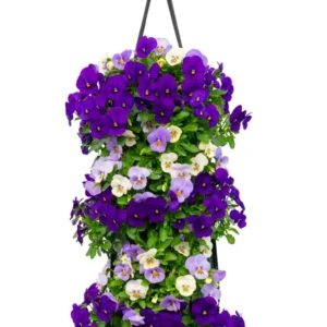 Wandhanger viool 'Blue mix' Wandhangers.nl