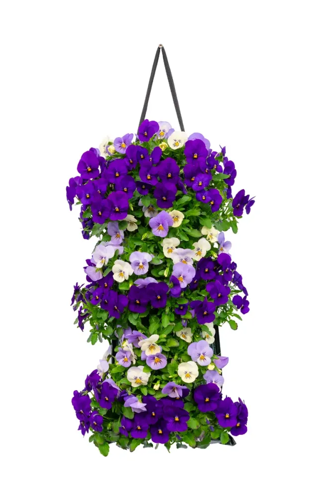 Wandhanger viool 'Blue mix' Wandhangers.nl