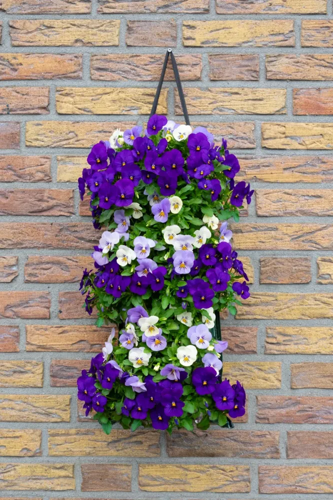 Wandhanger viool 'Blue mix' Wandhangers.nl