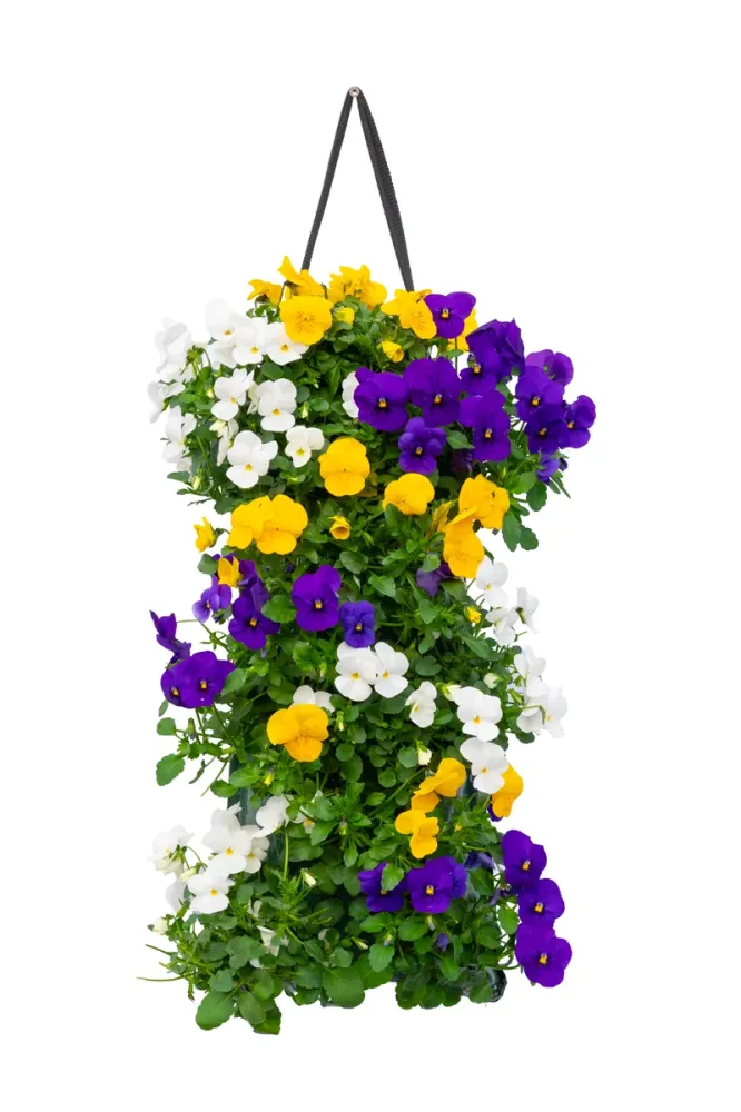 Wandhanger viool 'Carnaval mix´ Wandhangers.nl