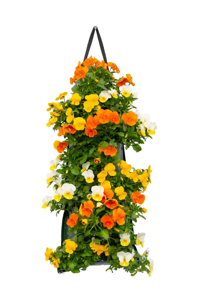 Wandhanger viool ´Easter mix´ Wandhangers.nl