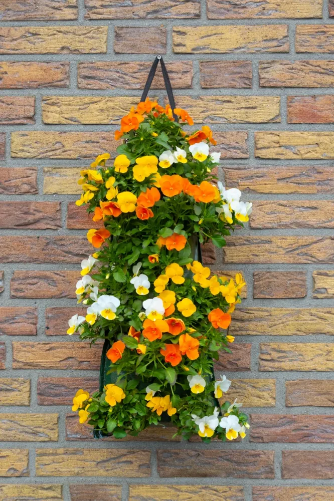 Wandhanger viool ´Easter mix´ Wandhangers.nl